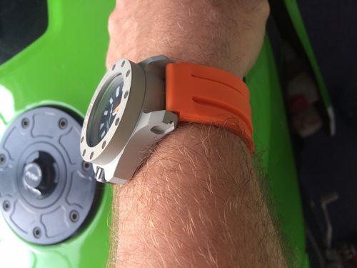 Triggerfish II wristshot