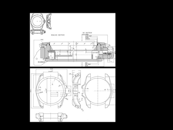 barakuda drawings